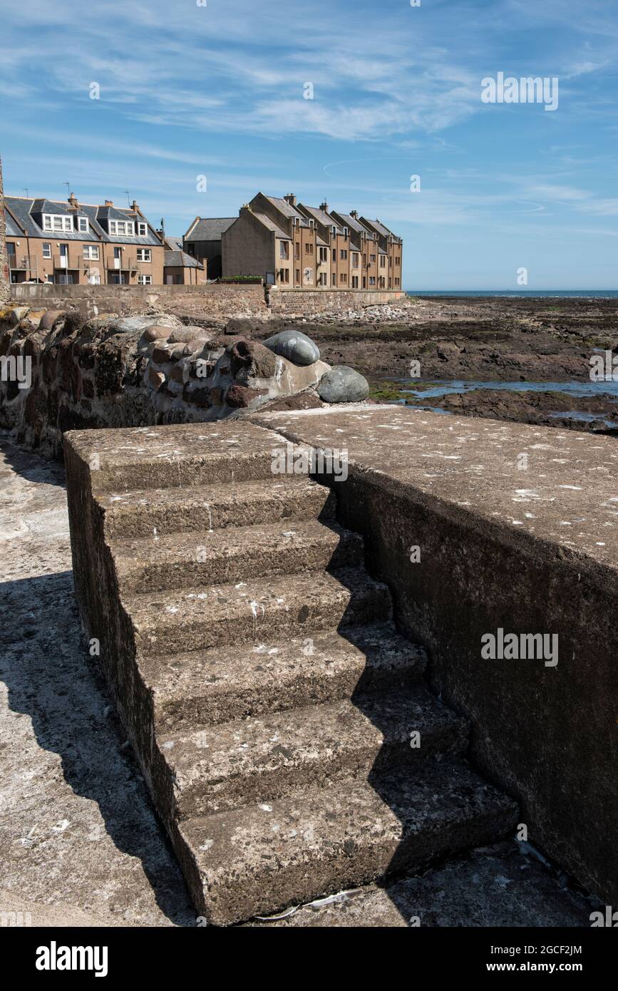 Stufen führen zur Meeresmauer im Fischerdorf Gourdon, Aberdeenshire, Schottland. Stockfoto