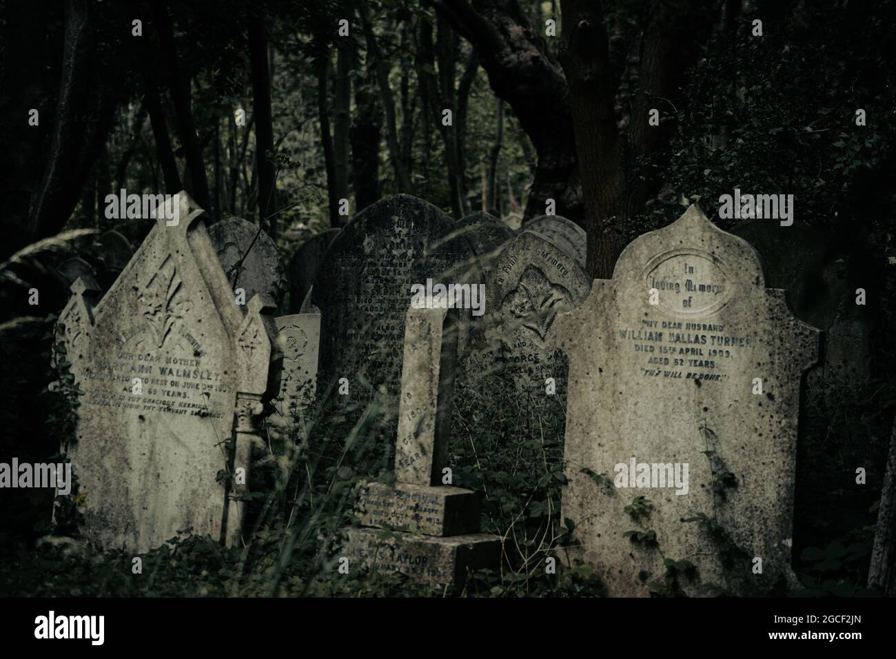 Viktorianische Grabsteine auf einem bewachsenen historischen Friedhof mit Bäumen Stockfoto