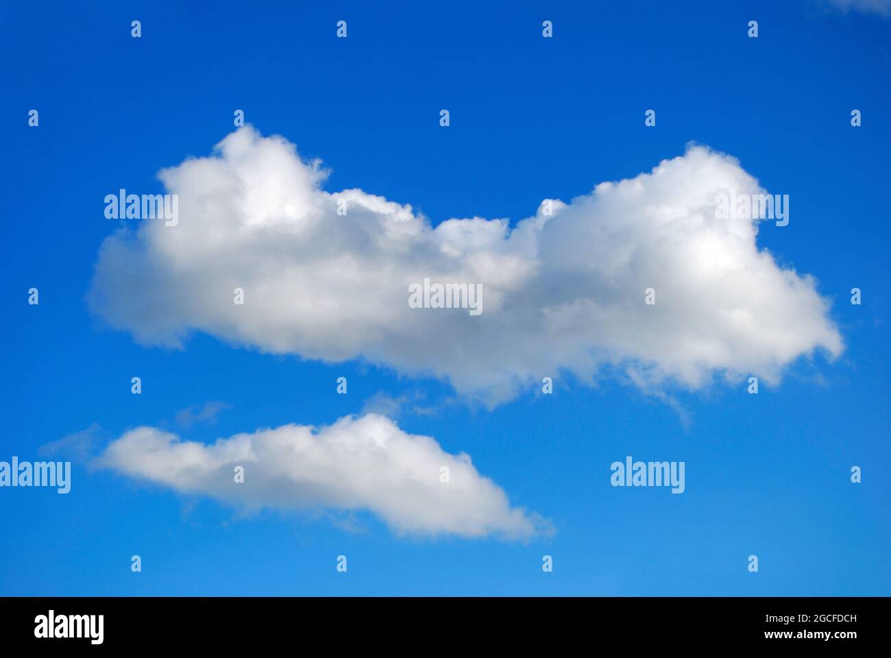 Cumulus Wolken und blauer Himmel, Virginia Water, Surrey, England, Vereinigtes Königreich Stockfoto