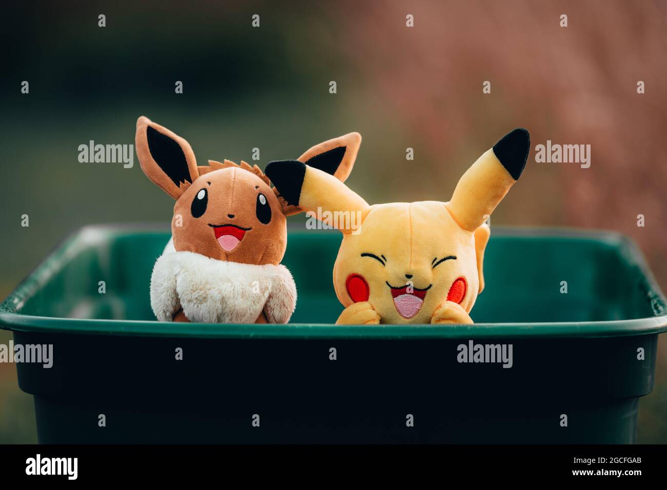 Chester, Großbritannien - 17. Juli 2021: Pokemon Eevee und Pikachu Nahaufnahme im Urlaub Stockfoto