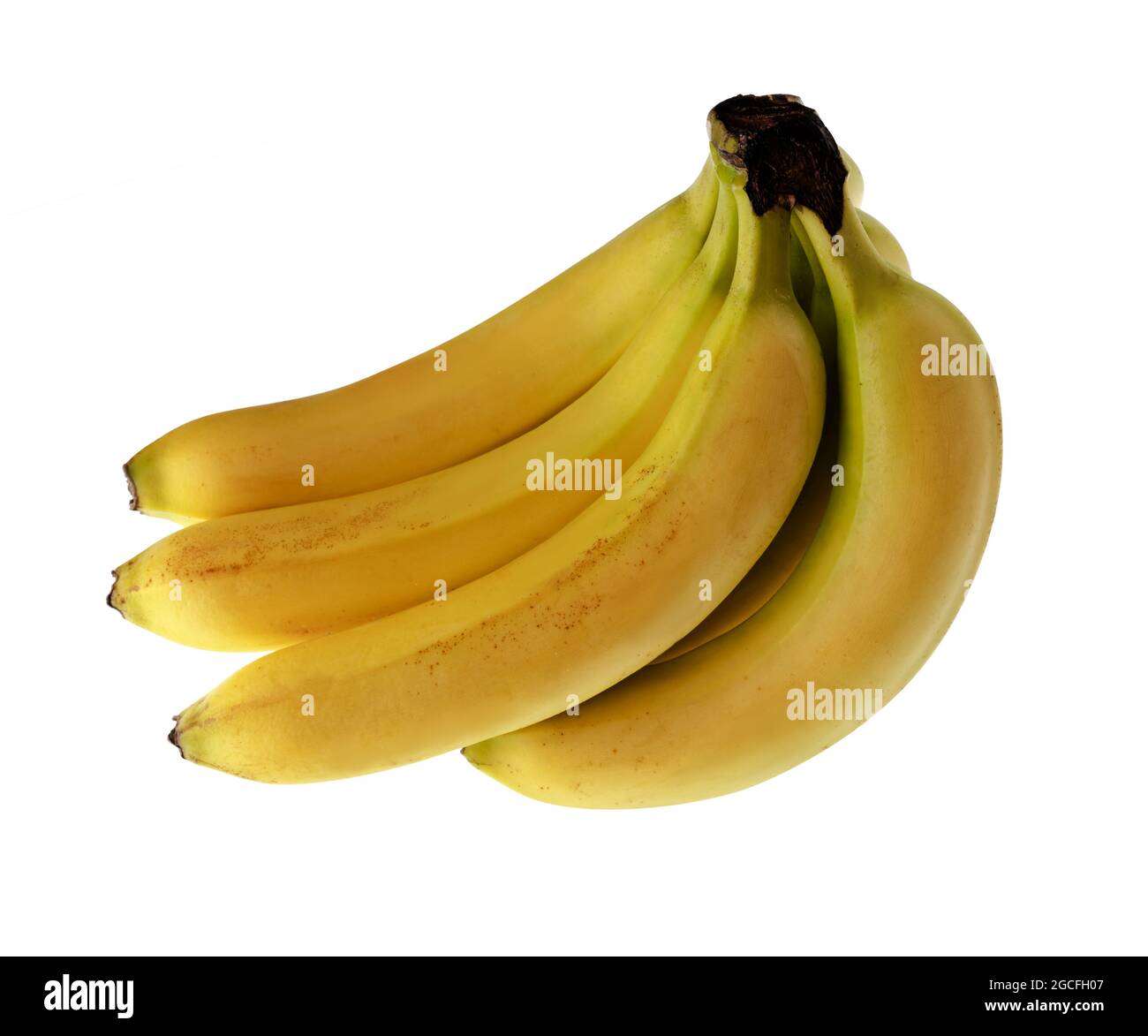 Abgebildet ist ein Zweig reifer Bananen auf weißem Hintergrund Stockfoto