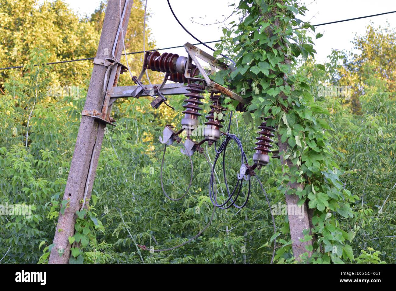 Alter Strommast von Strom, Isolatoren und Kabeln getrennt. Stockfoto