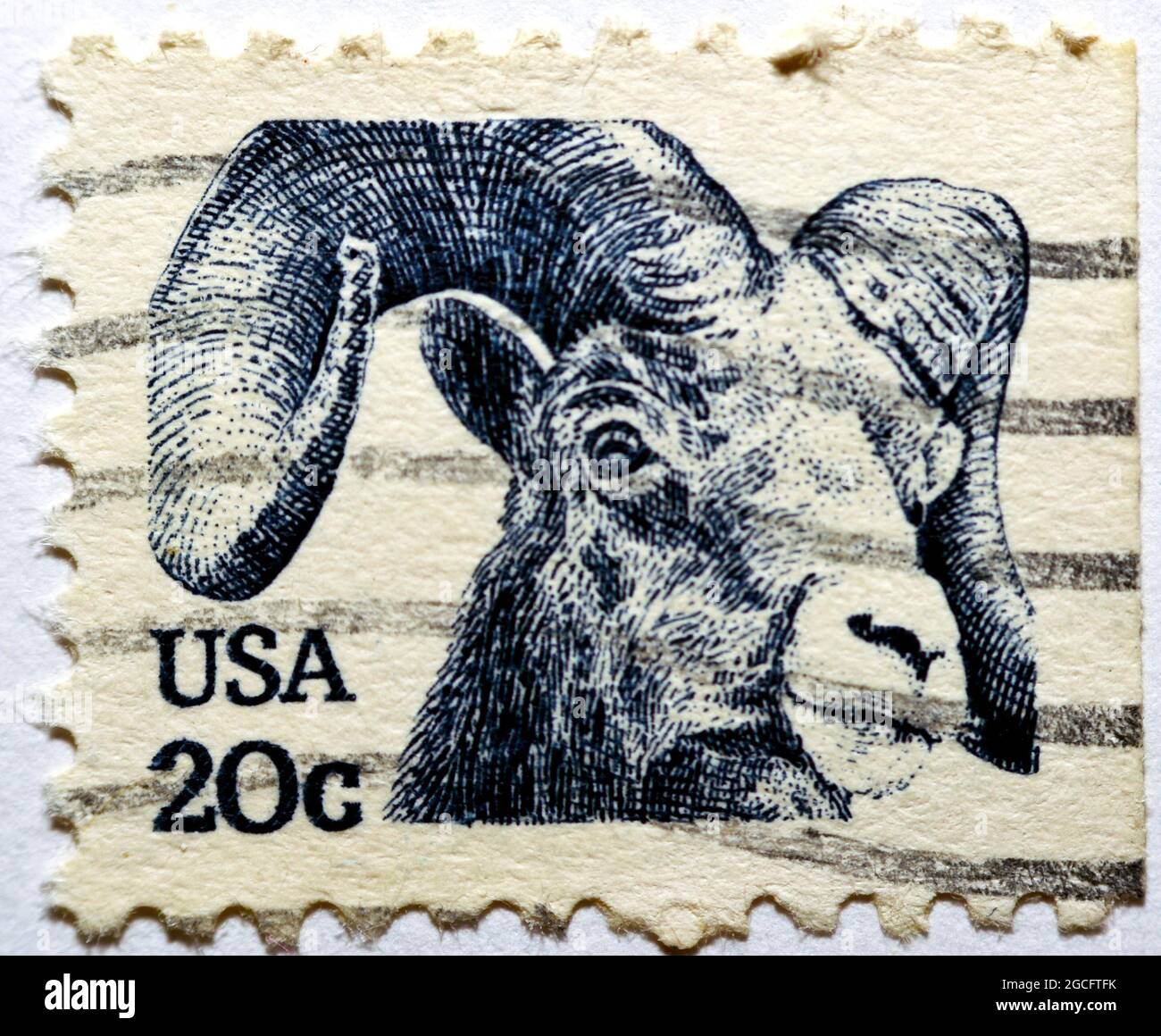 Eine in den USA gedruckte Briefmarke zeigt ein Rocky Mountain Bighorn Sheep (Ovis canadensis Ovis orientalis), eine regelmäßige Ausgabeserie von Mufflons Head, um 19 Stockfoto