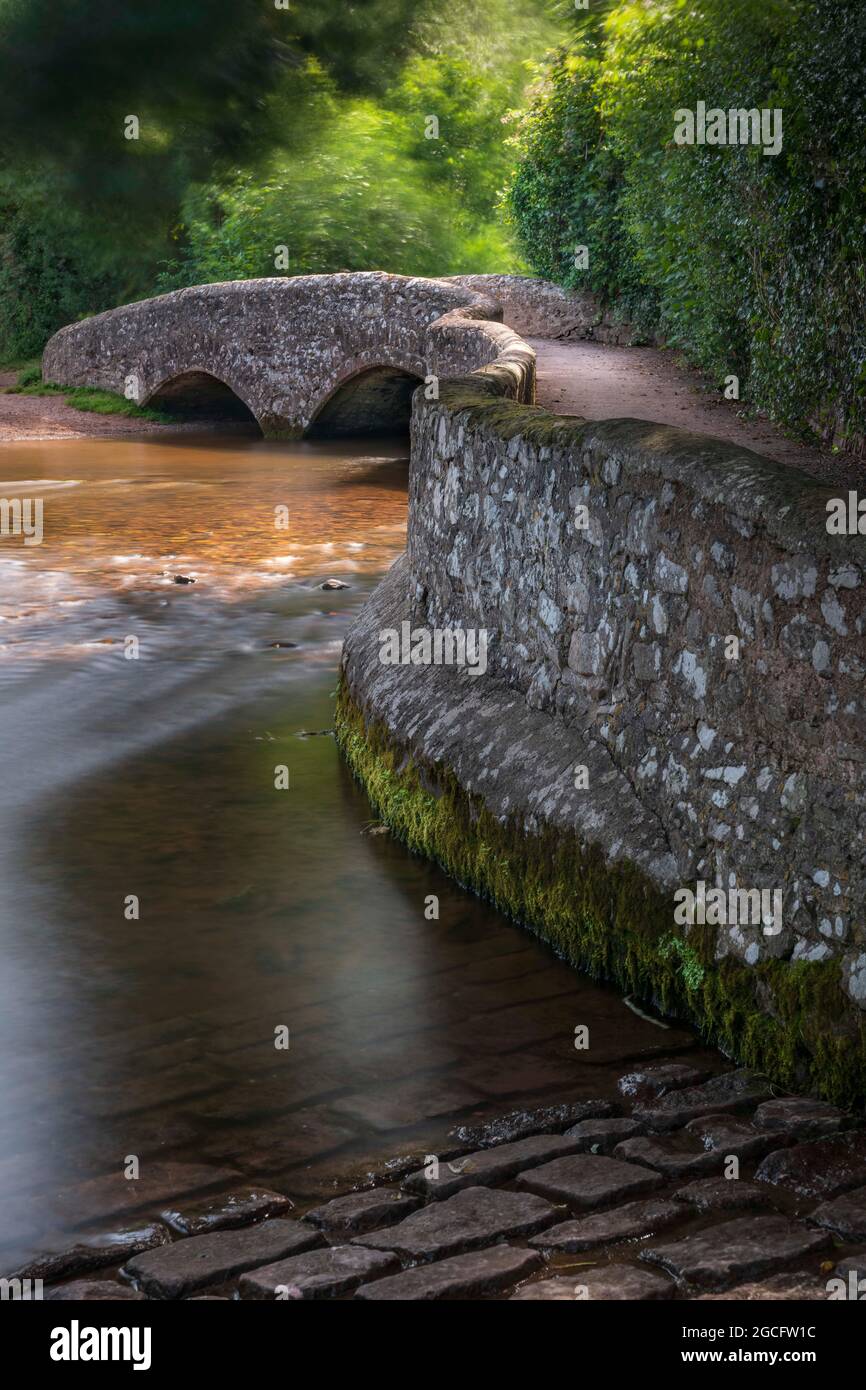 Die 'Gallox Bridge' in Dunster, Somerset, ist ein seltenes Beispiel einer mittelalterlichen Papppferdebrücke. Die doppelbögige Brücke über den Fluss Avill verband die ma Stockfoto
