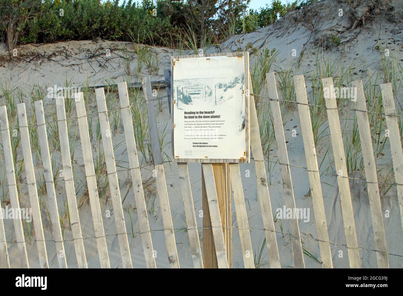 Schild mit geschützten Sanddünen und Strandgras hinter einem Holzzaun am Ellis Landing Beach in East Brewster, Massachusetts, am Cape Cod Stockfoto
