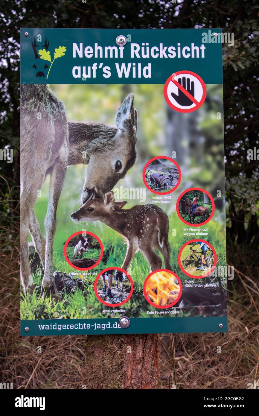 JERRISHOE, DEUTSCHLAND - 22. Jul 2021: Ein deutsches Plakat auf Baumstamm, auf dem steht, auf die Regeln zu achten und Rücksicht auf die Wildnis zu nehmen Stockfoto