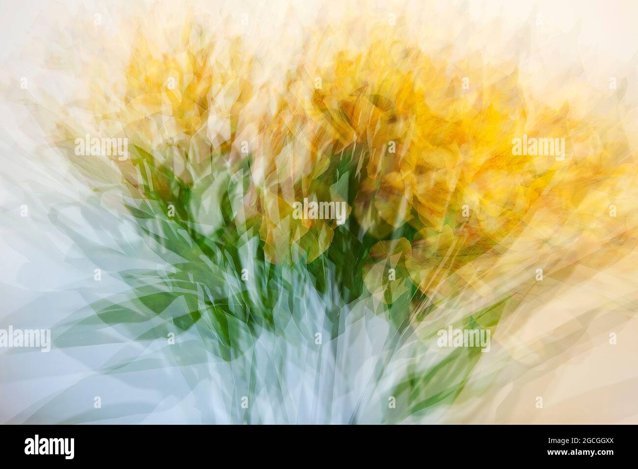Blumenabstraktion - Mehrfachbelichtung Stockfoto