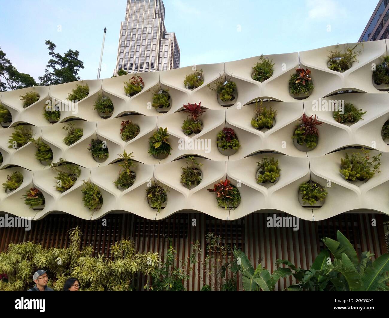 Eine Wand, die Pflanzen für eine umweltfreundliche Initiative in der Nähe von Tsim Sha Tsui und Kowloon halten soll Stockfoto