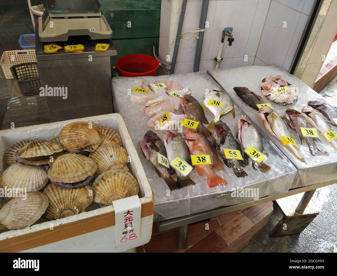 Frische Meeresfrüchte wie Fisch und Muscheln auf Eis auf einem Markt im Freien in Hongkong in der Nähe der Monster Buildings in Quarry Bay. Stockfoto