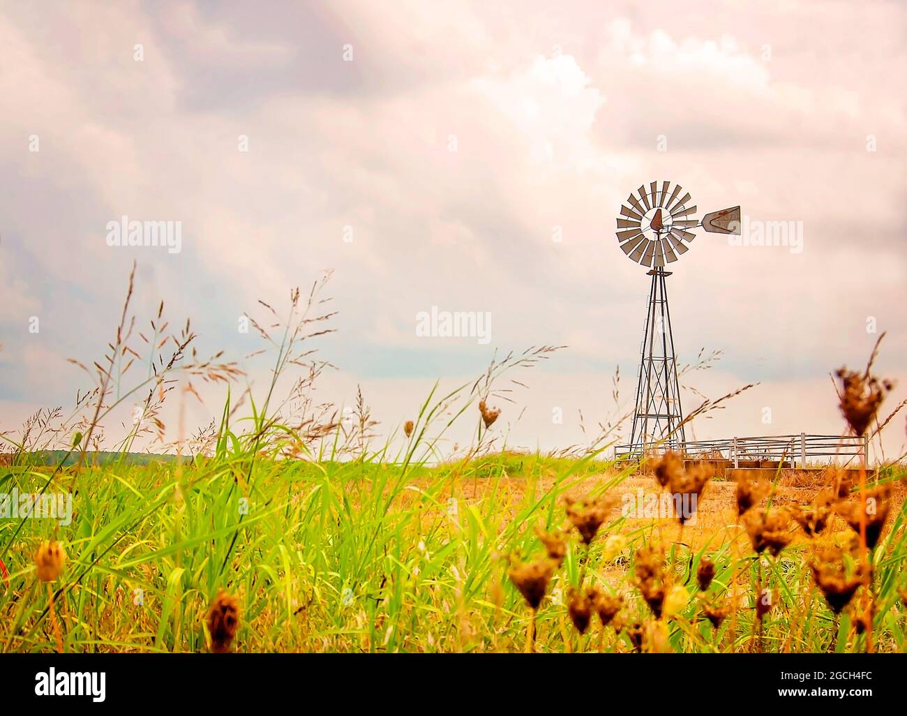 Eine Windmühle steht auf einer Farm am Highway 50, 7. Juli 2011, in West Point, Mississippi. Stockfoto