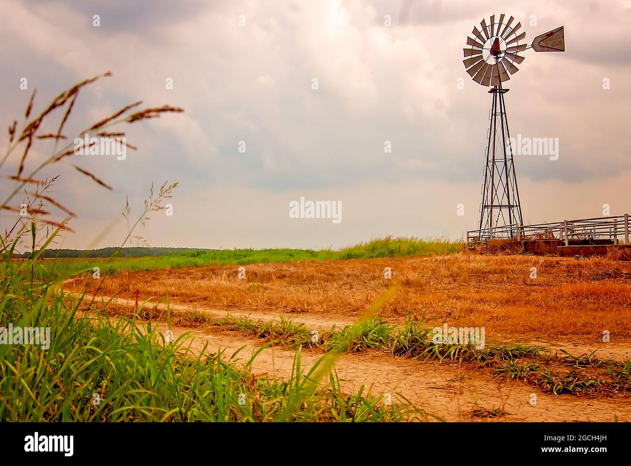 Eine Windmühle steht auf einer Farm am Highway 50, 7. Juli 2011, in West Point, Mississippi. Stockfoto