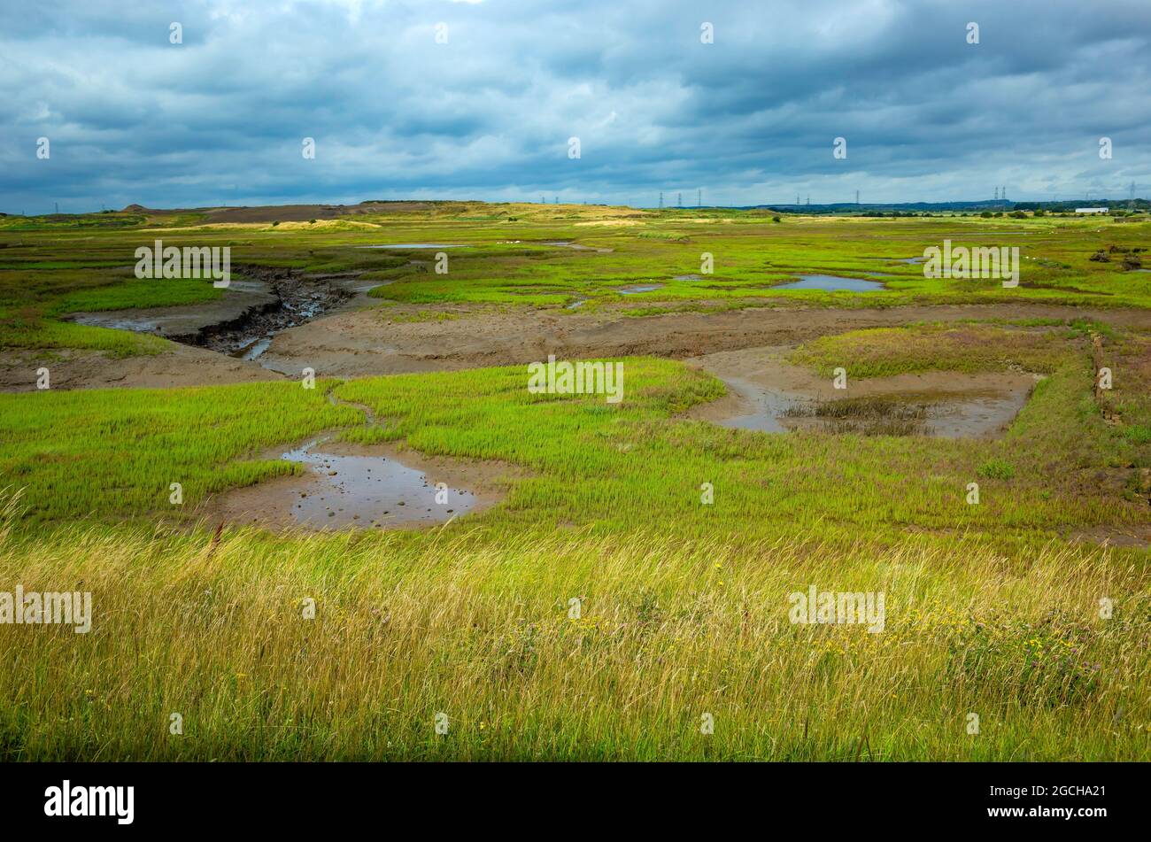 Blick von einem öffentlichen Versteck im Teesmouth National Nature Reserve nach Norden in Richtung Greatham Creek Stockfoto