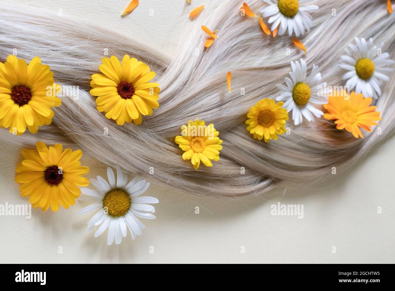 Kamille und Ringelblume blühen in blondem Haar. Zopf. Stockfoto