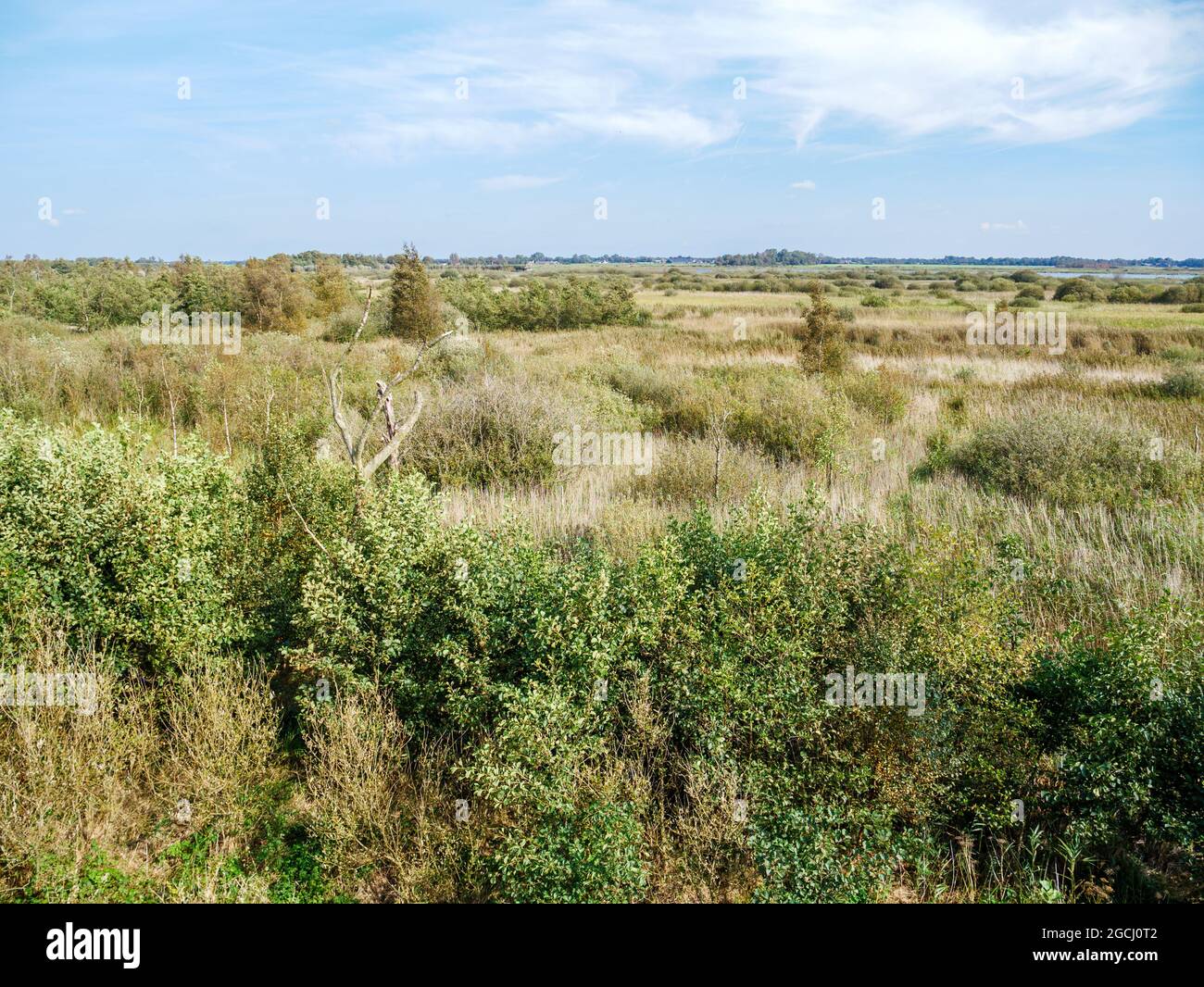 Panoramablick auf den Nationalpark Alde Feanen in Friesland, Niederlande Stockfoto