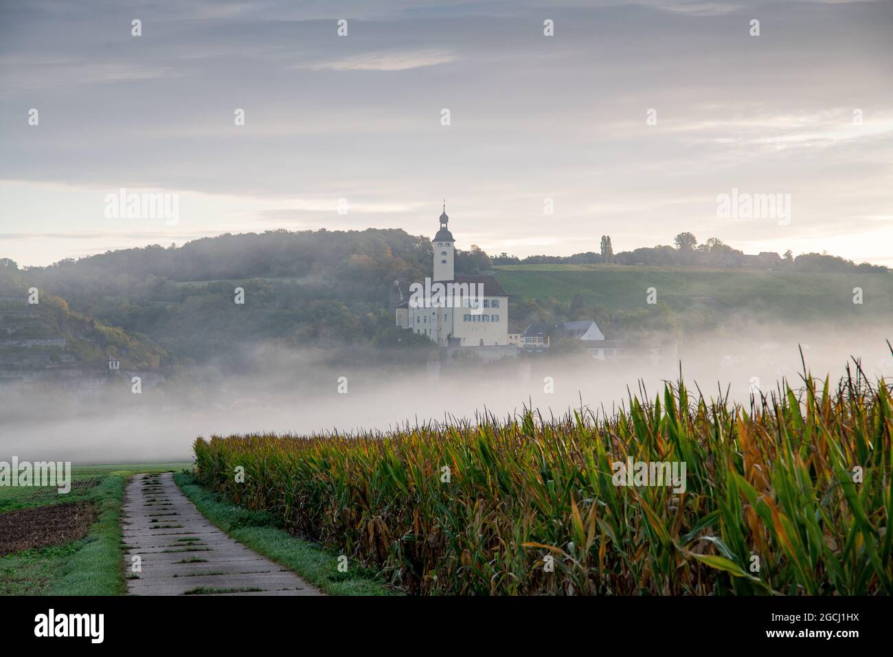 Geographie / Reisen, Deutschland, Baden-Württemberg, Hassmersheim, ZUR GRUSSKARTEN-/POSTKARTENVERWENDUNG IN KEIMREDE.C ES KÖNNEN BESTIMMTE EINSCHRÄNKUNGEN GELTEN Stockfoto
