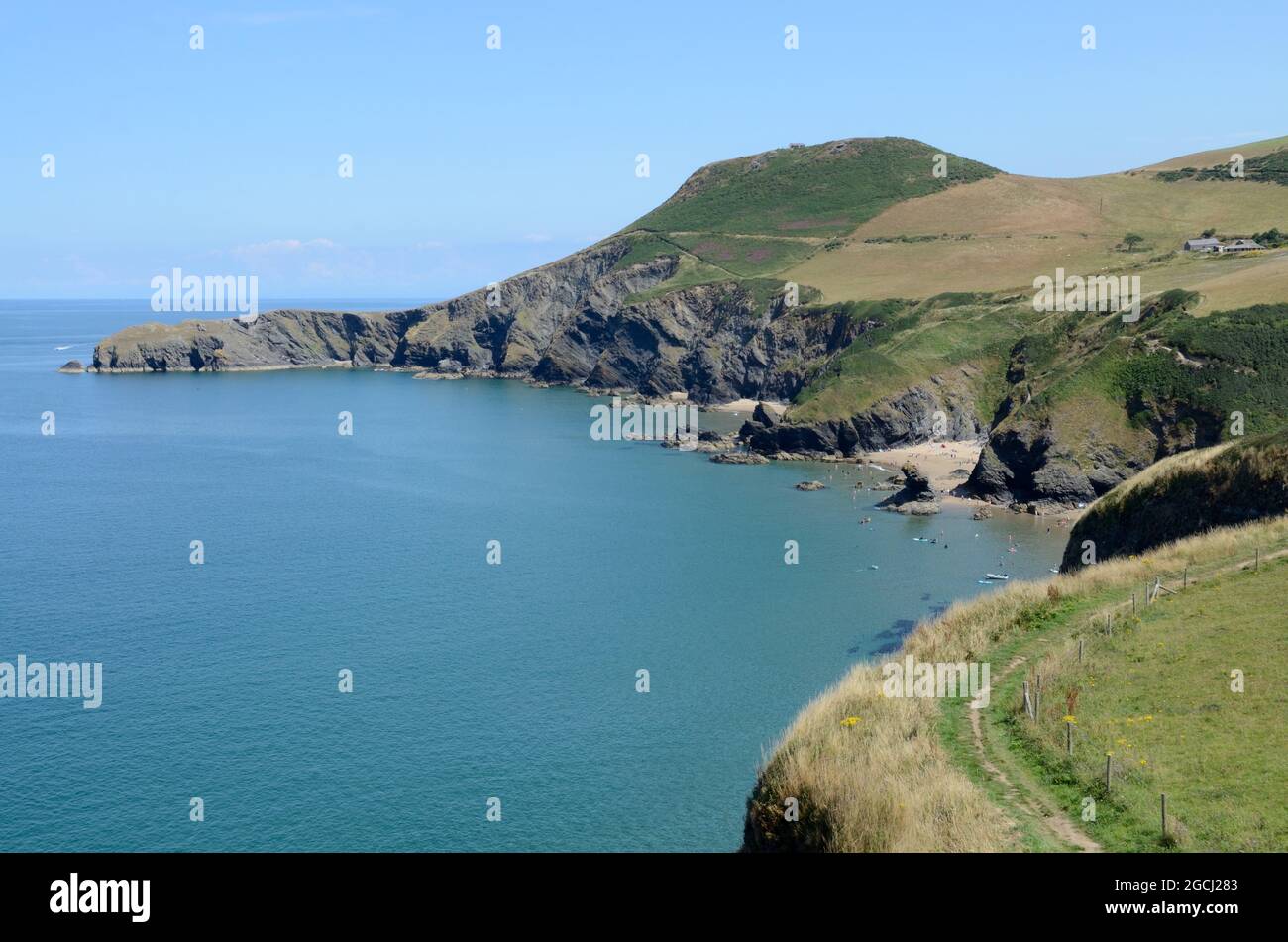 Cliff Edge Ceredigion Coast Path von Penbryn in Richtung Llangrannog All Wales Coast Path Wales Cymru UK Stockfoto