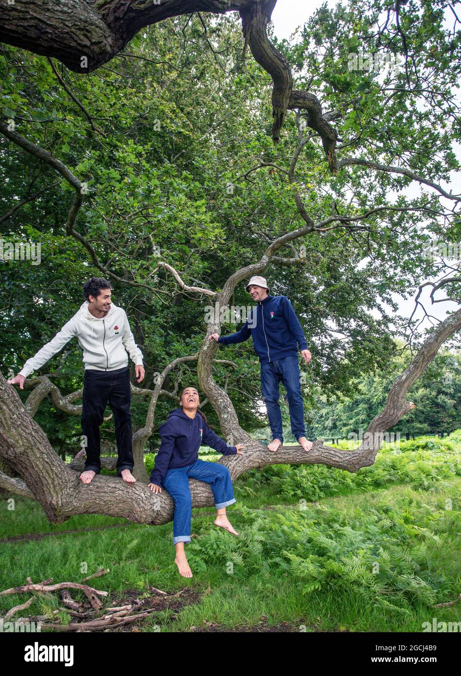 Gruppe junger Menschen im Park, die einen Baum klettern Stockfoto