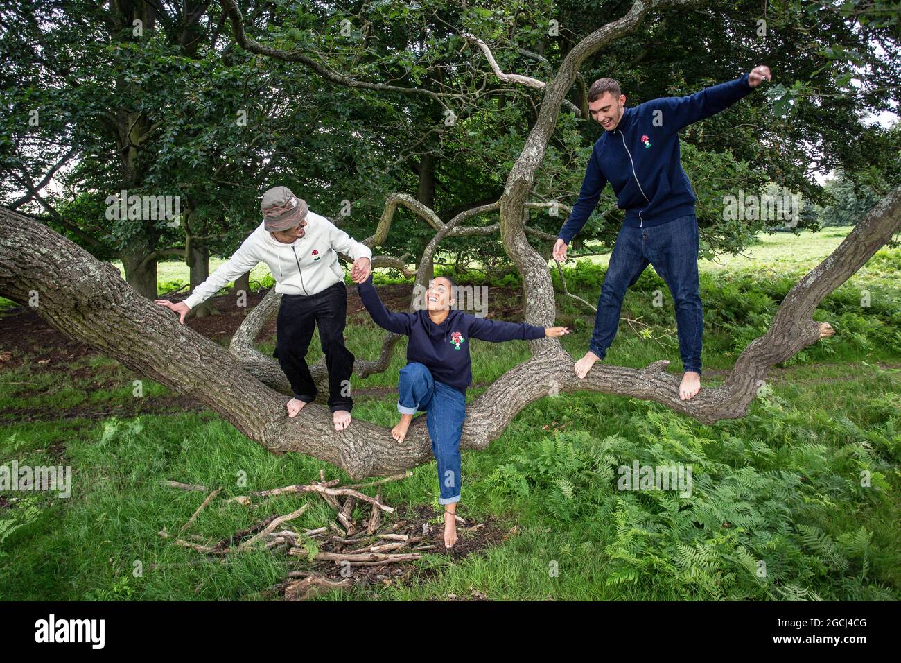 Gruppe junger Menschen im Park, die einen Baum klettern Stockfoto