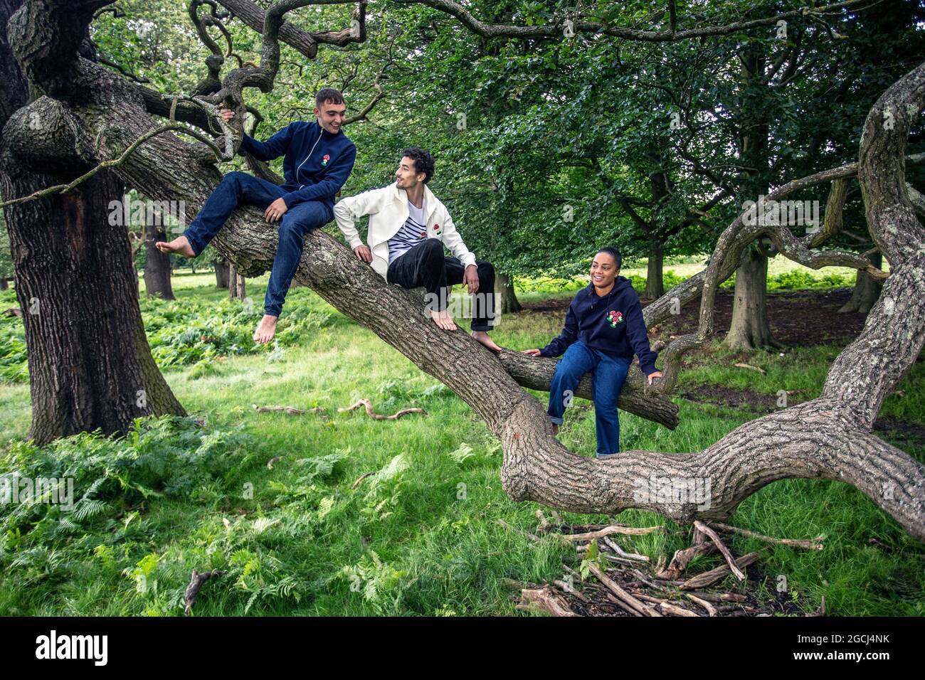 Gruppe junger Menschen im Park, die einen Baum klettern Stockfoto