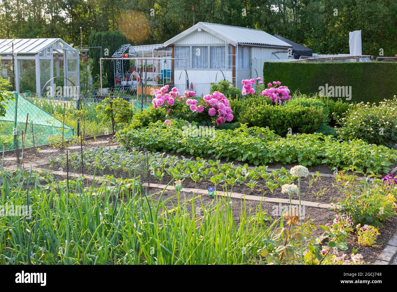 Typischer deutscher Schrebergarten Stockfoto