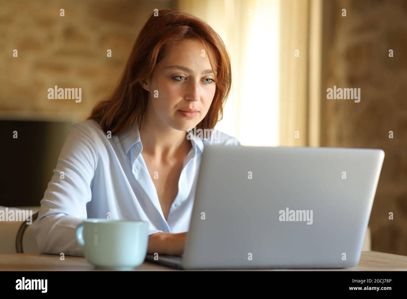 Konzentrierte freiberufliche Frau, die zu Hause mit einem Laptop arbeitet Stockfoto