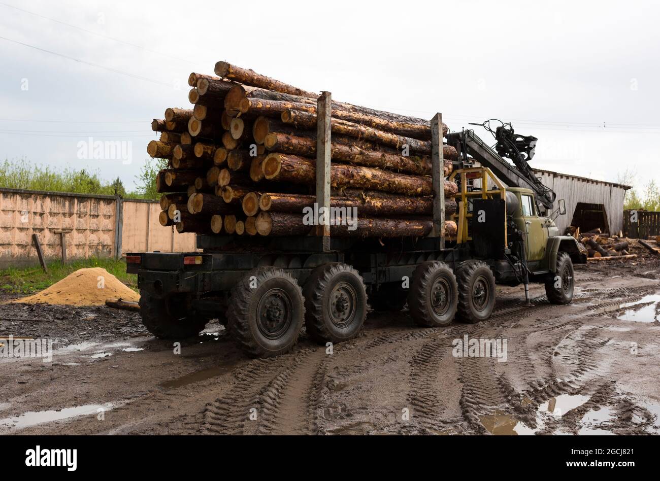 Transport von Holz auf einem LKW. Flurförderzeug zum Transport von Holz. Stockfoto