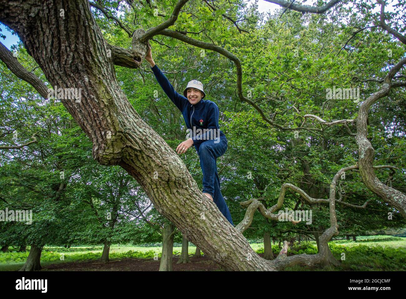 Junge Hipster Mann Klettern auf einen Baum in einem park Stockfoto