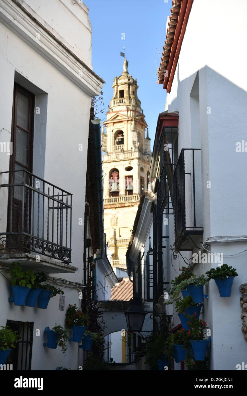 Córdoba Andalucía España mezquita catedral de Córdoba 2021 Stockfoto