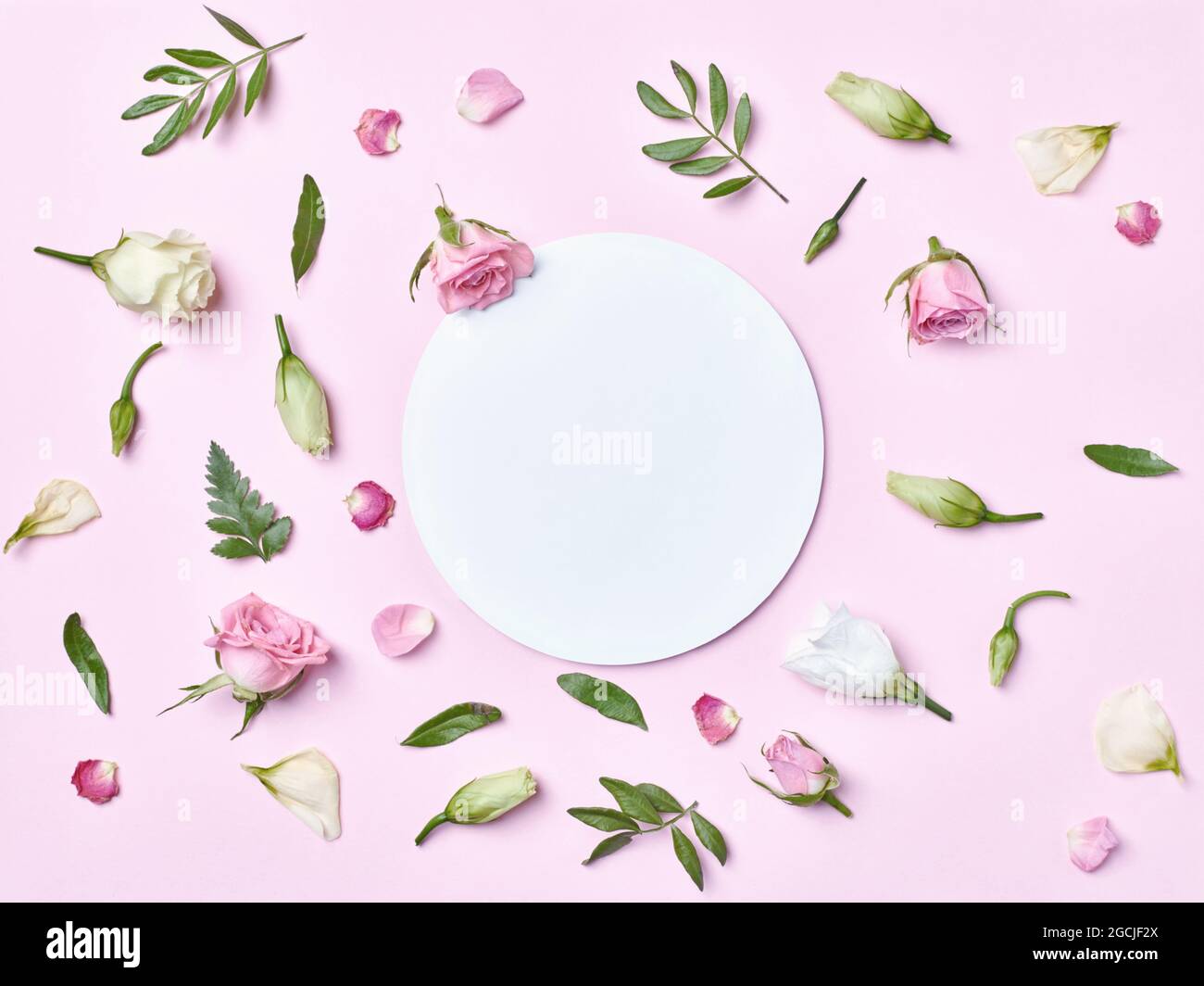 Blatt Blume Grußkarte Notiz Papier Rahmen Hintergrund flach legen floral Layout Einladung Natur Frühling grün Stockfoto