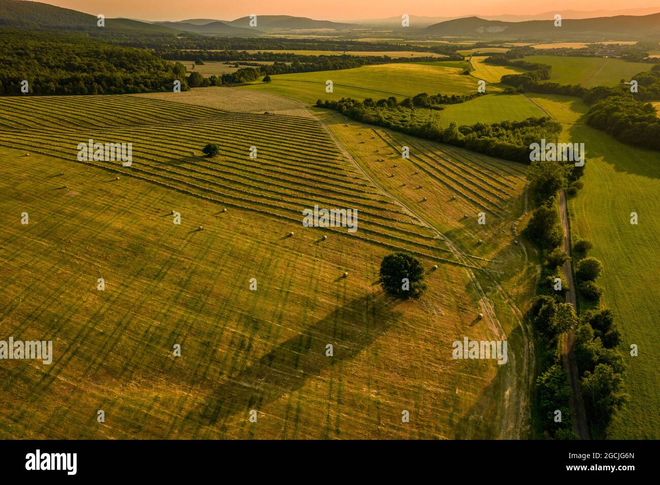 Felder mit frisch geschnittenem Gras, die für die Heuproduktion vorbereitet werden. Luftaufnahme eines kultivierten Ackerlandes in der Slowakei. Stockfoto