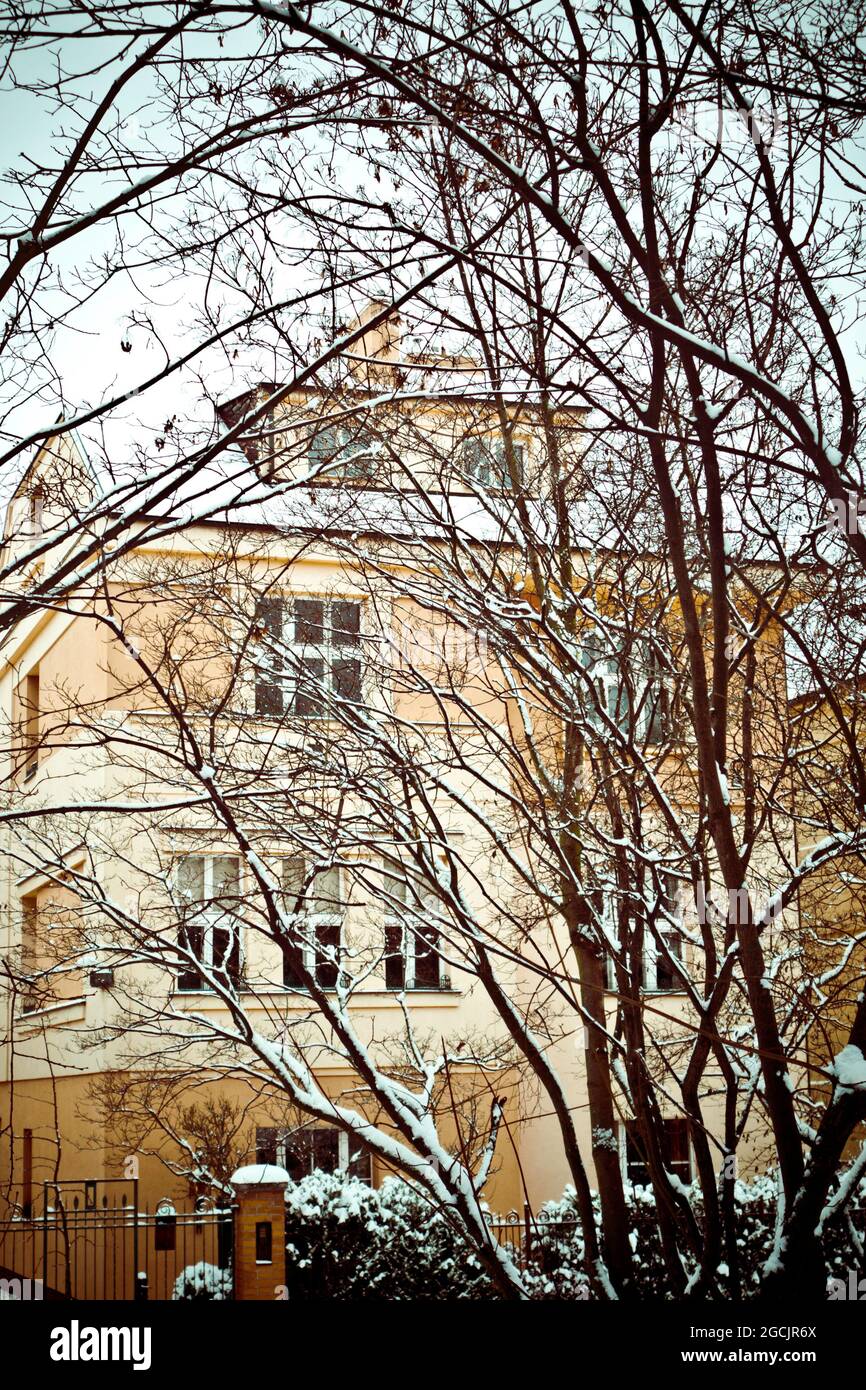 villa hinter verschlungenen Ästen von Bäumen mit Schnee Stockfoto