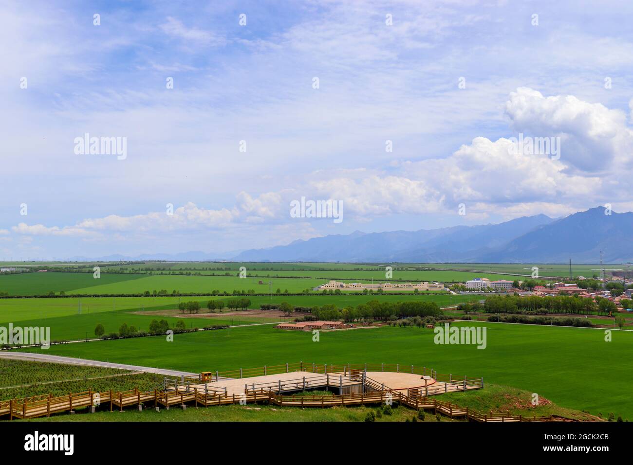 Menyuan, gelber Rapsblüten, landschaftlich schöner Ort in Qinghai, China. Blauer Himmel, weiße Wolken, grünes Weizenfeld, wunderschöne Dörfer Stockfoto