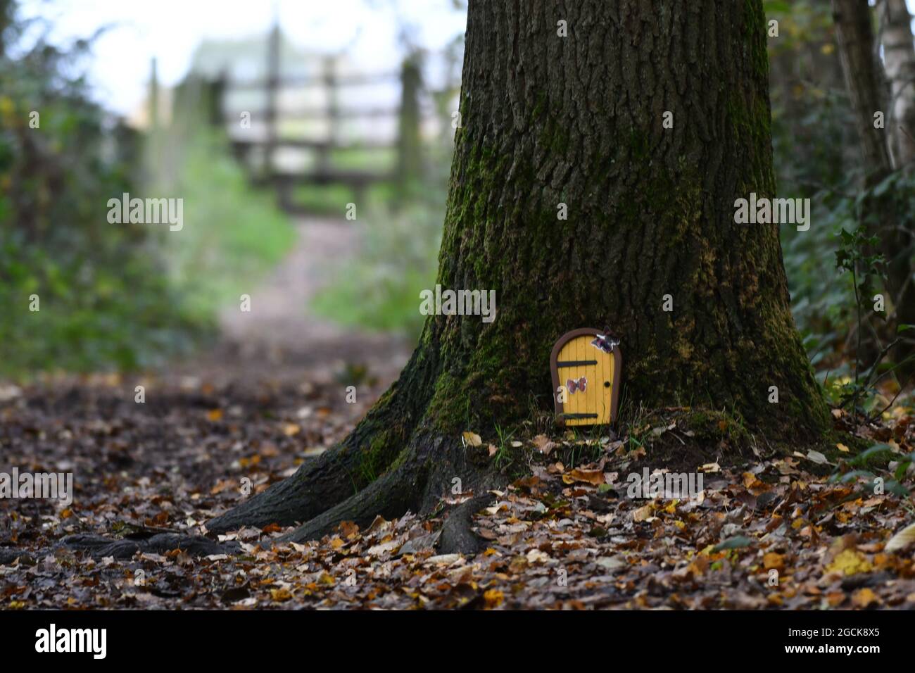 Die Tür Stockfoto