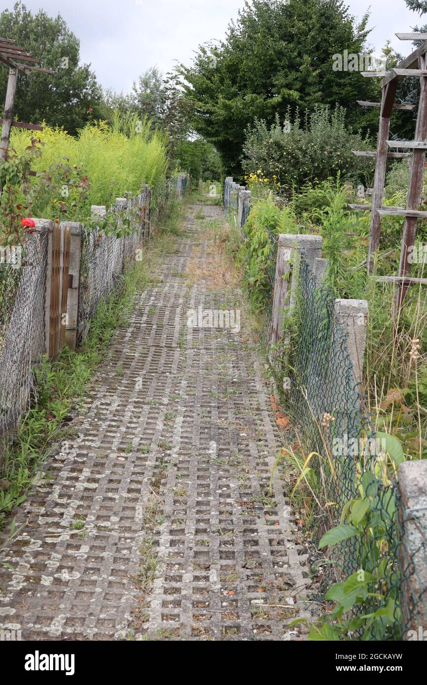 Altenburg, Deutschland. August 2021. Blick in überwuchert ehemalige