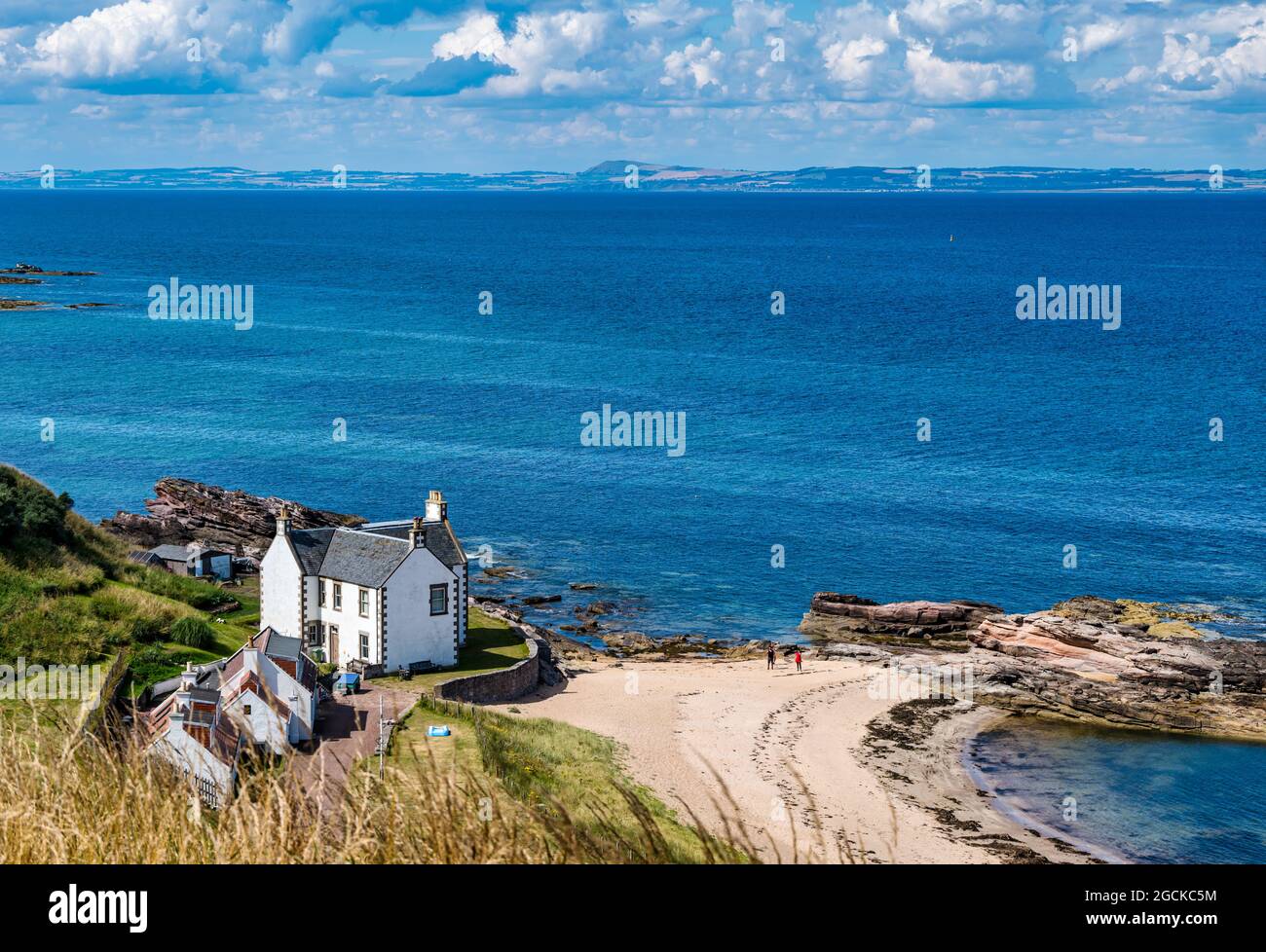 Häuser in Canty Bay an der Küste am sonnigen Sommertag mit Blick über Firth of Forth, East Lothian, Schottland, Großbritannien Stockfoto