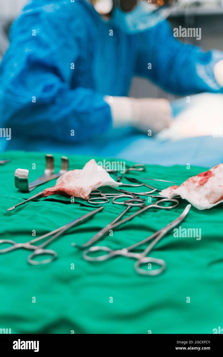 Kit mit verschiedenen chirurgischen Instrumenten und blutigen Servietten im Operationssaal des Tierkrankenhauses während der Operation mit Ernte anonymen Arzt Behandlung Pat Stockfoto