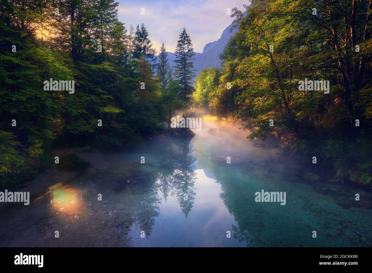 Herrliche Nebellandschaft über einem ruhigen Fluss, der am Morgen in den Bergwäldern Sloweniens liegt Stockfoto