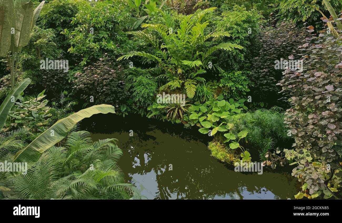Tropischer Dschungel am Amazonas. Tropische Bäume und Pflanzen. Stilisiertes Foto. Stockfoto