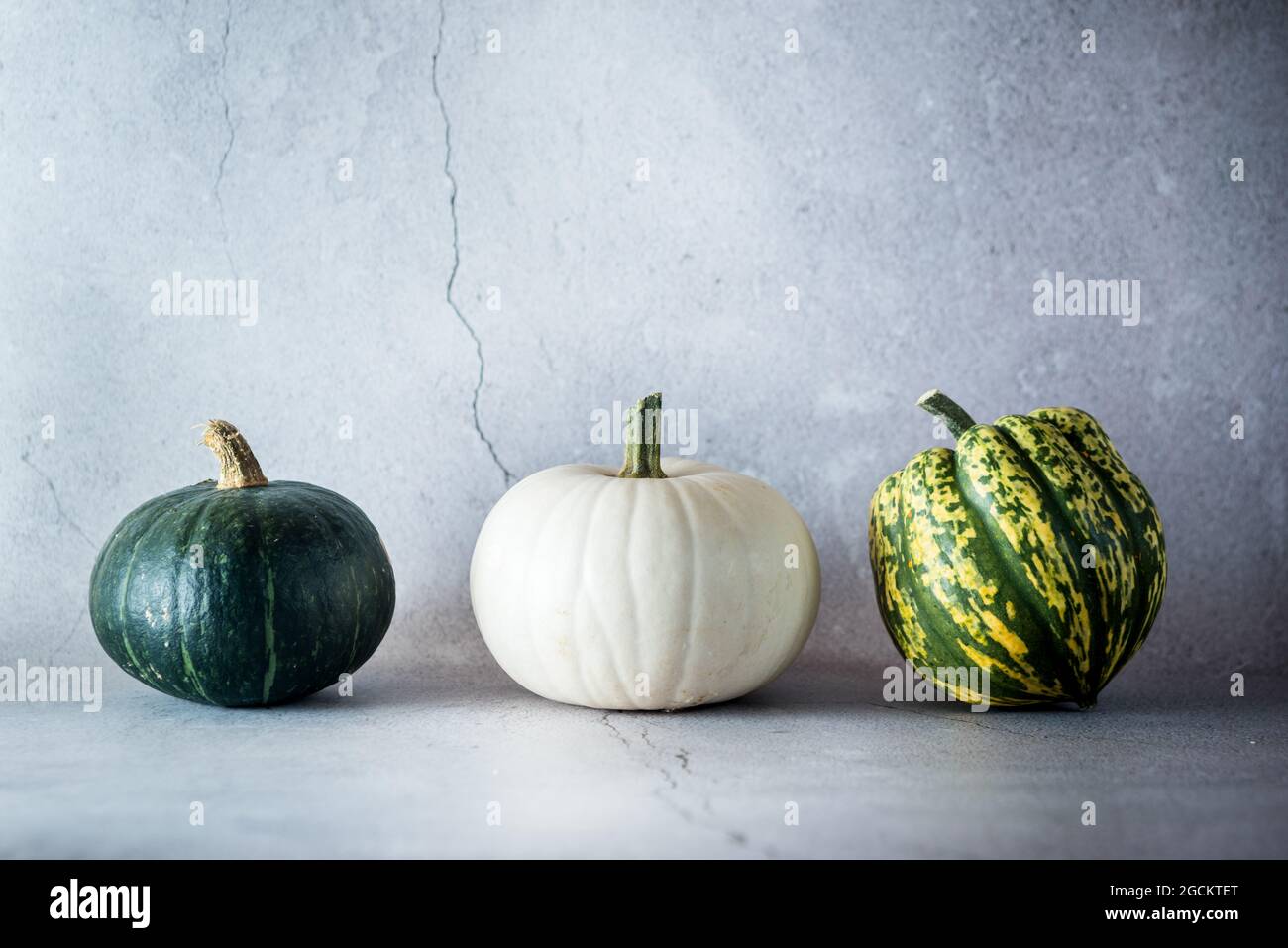 Stillleben Komposition mit verschiedenen Arten von ganzen frischen runden Squashes in verschiedenen Farben in der Nähe von schäbig grauen Wand platziert Stockfoto