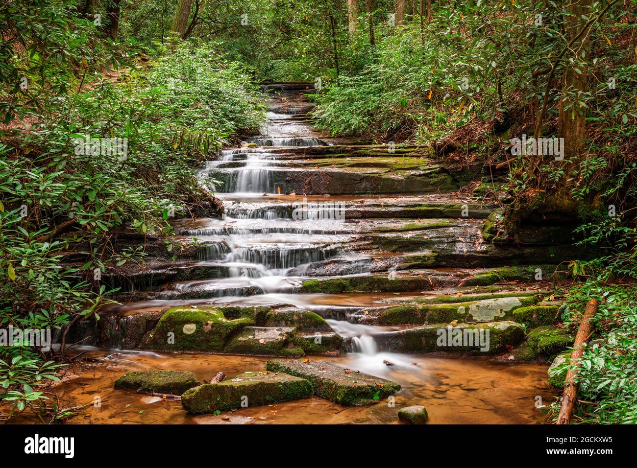 Panther Falls, Rabun County, Georgia am Tallulah River. Stockfoto