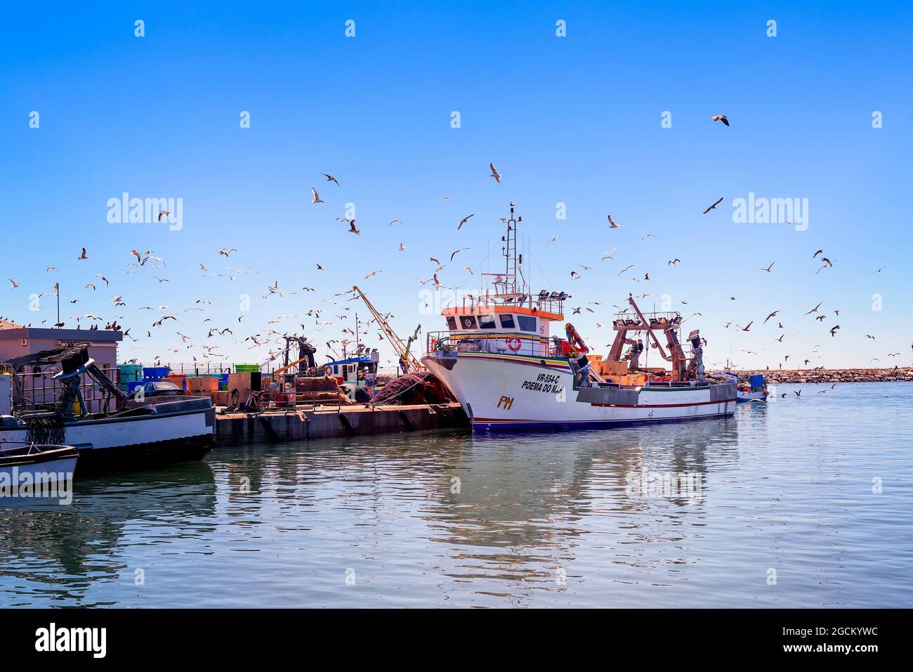 Poema do mar ein großer Fischertrawler dockte im Hafen von Quarteira an, umgeben von Möwen, Quarteira Algarve Portugal Stockfoto