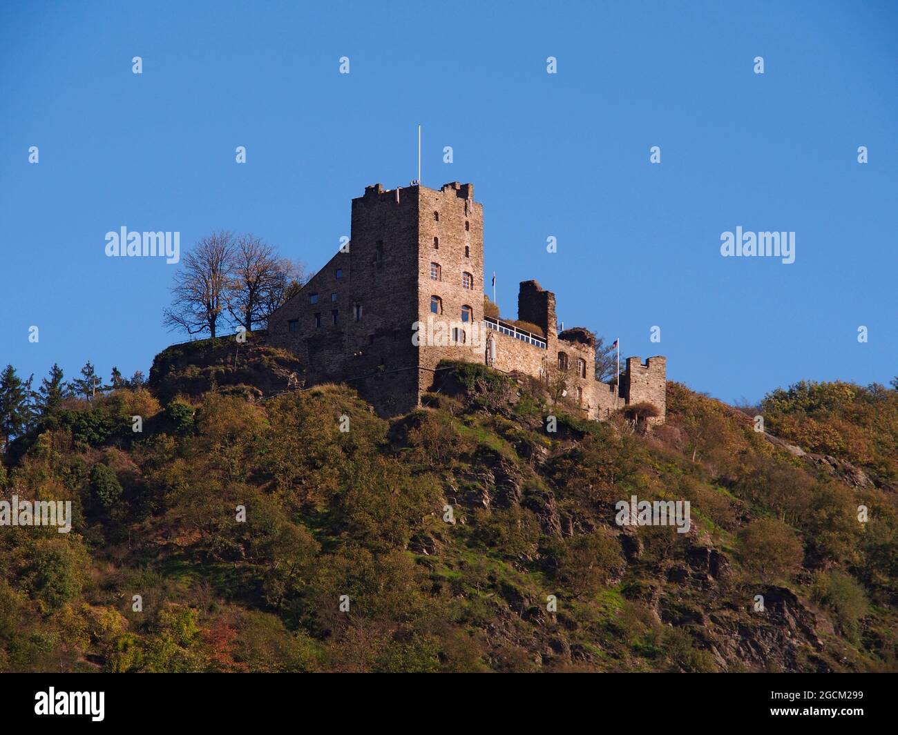 Schloss Liebenstein im Besitz eines feindlichen Bruders auf den Hügeln des Rheins in Deutschland Stockfoto