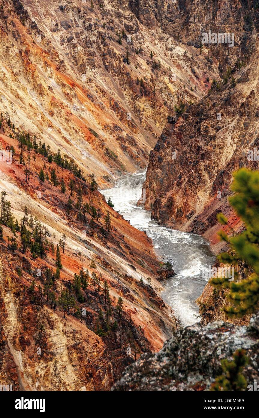 Blick vom Artist Point, Yellowstone Canyon, Yellowstone National Park Stockfoto