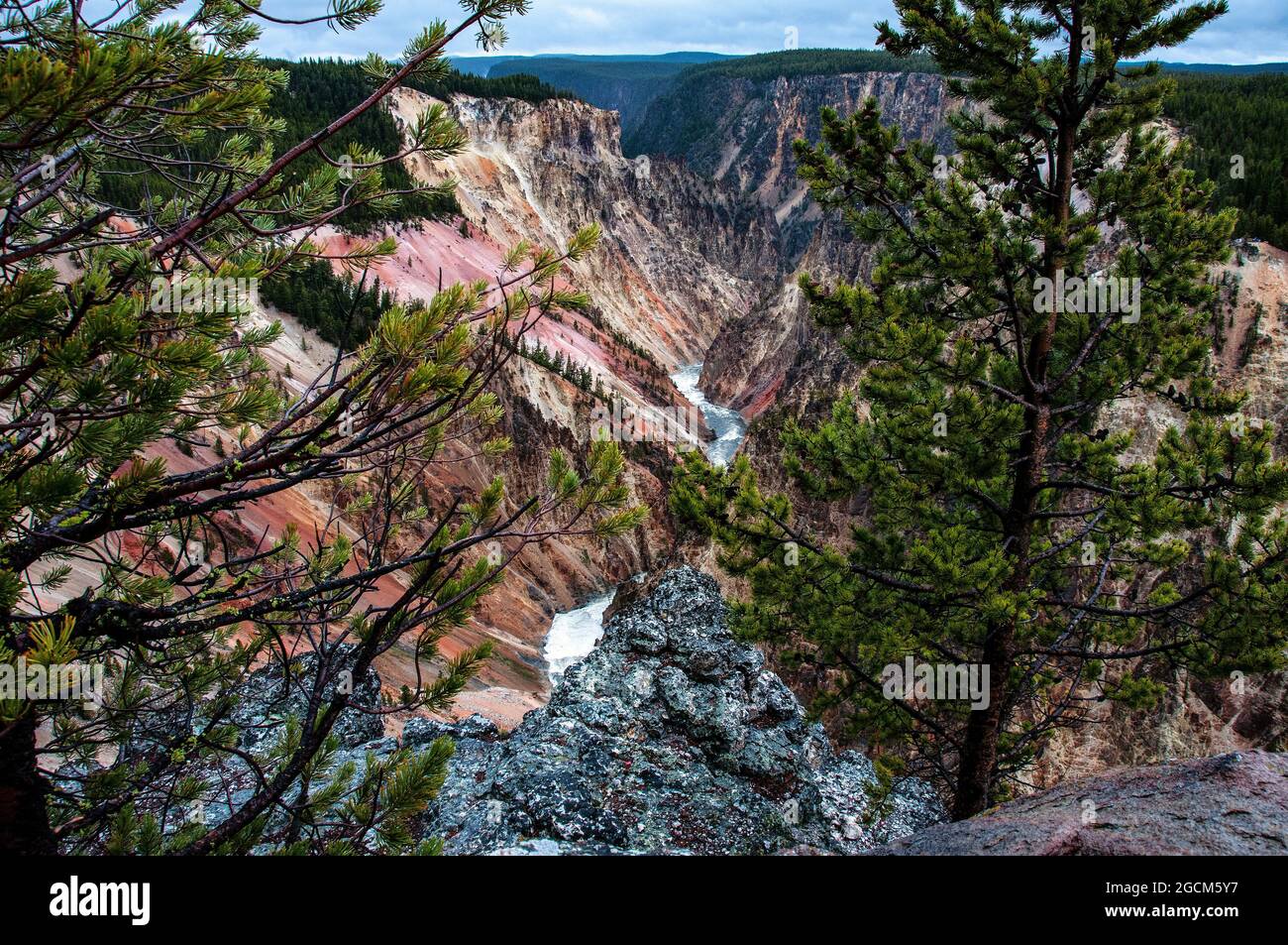 Blick vom Artist Point, Yellowstone Canyon, Yellowstone National Park Stockfoto