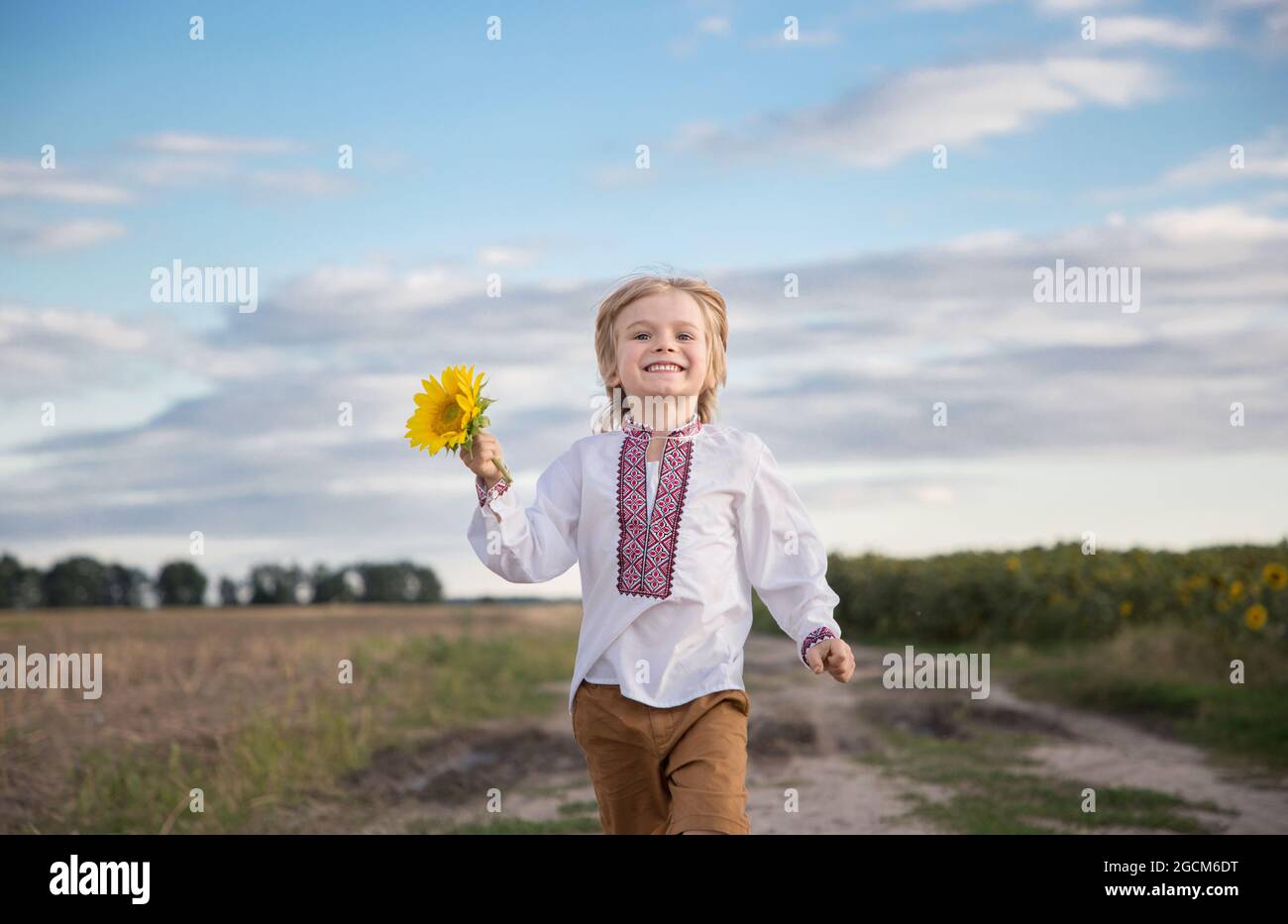 Lächelnder ukrainischer Junge 4-5 Jahre alt in einem gestickten Hemd mit einer Sonnenblumenblume in der Hand läuft vorwärts. Patriotische Erziehung. Symbol der Ukraine, Stockfoto