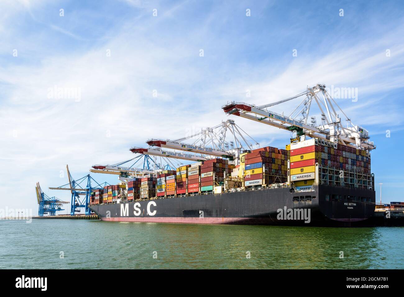 Rückansicht der MSC Bettina Containerschiffe, die im Containerterminal Port 2000 in Le Havre, Frankreich, von Super Post-panamax-Portalkranen entladen werden. Stockfoto