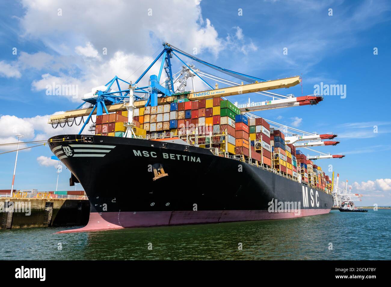 Weitwinkelansicht des Containerschiffes MSC Bettina, das im Containerterminal Port 2000 in Le Havre, Frankreich, angedockt ist. Stockfoto