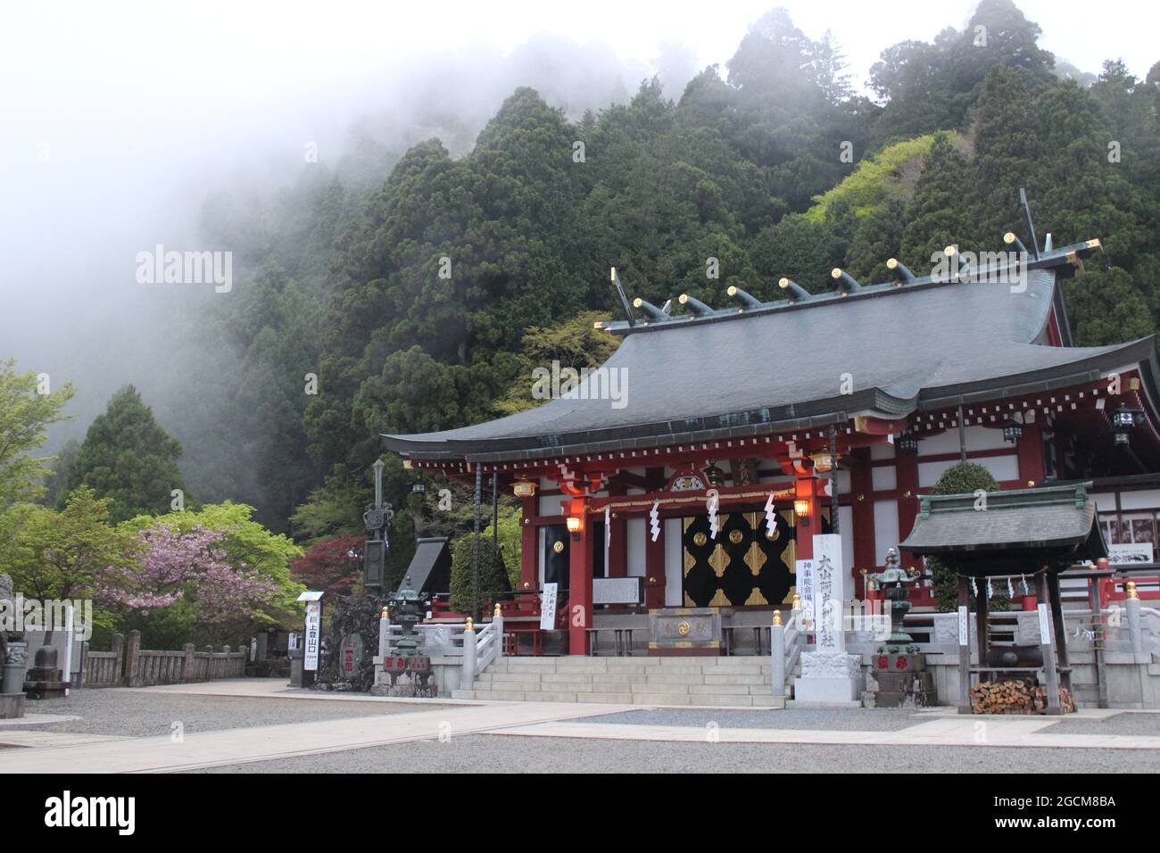 Tempel auf einem Berg in Japan mit aufziehendem Nebel im Wald Stockfoto