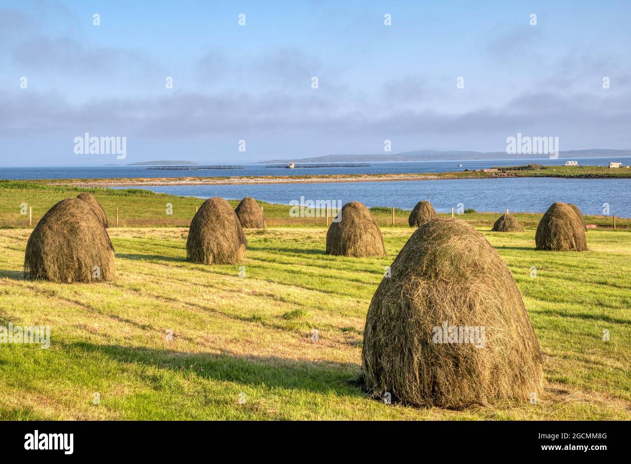 Heuernte auf einer Croft in der Nähe von Hamnavoe auf der Insel Yell, Shetland. Mit Loch von Galtagarth und Hamna Voe im Hintergrund. Stockfoto