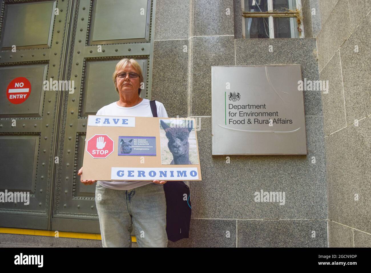 London, Großbritannien. August 2021. Ein Demonstrator hält ein Plakat mit dem Titel "Save Geronimo" während des Protestes vor Defra.Demonstranten marschierten vom Ministerium für Umwelt, Ernährung und ländliche Angelegenheiten (Defra) zur Downing Street, um Geronimo, den Alpaka, zu unterstützen. Geronimo wurde zweimal positiv auf Rindertuberkulose getestet und Defra hat daraufhin eine Euthanasie angeordnet. Helen Macdonald, die sich um Geronimo kümmert, ist unnachtlos, die Tests sind unwissenschaftlich und ungenau. (Foto: Vuk Valcic/SOPA Images/Sipa USA) Quelle: SIPA USA/Alamy Live News Stockfoto